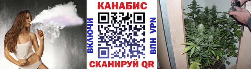 Каннабис OG Kush  Шиханы 